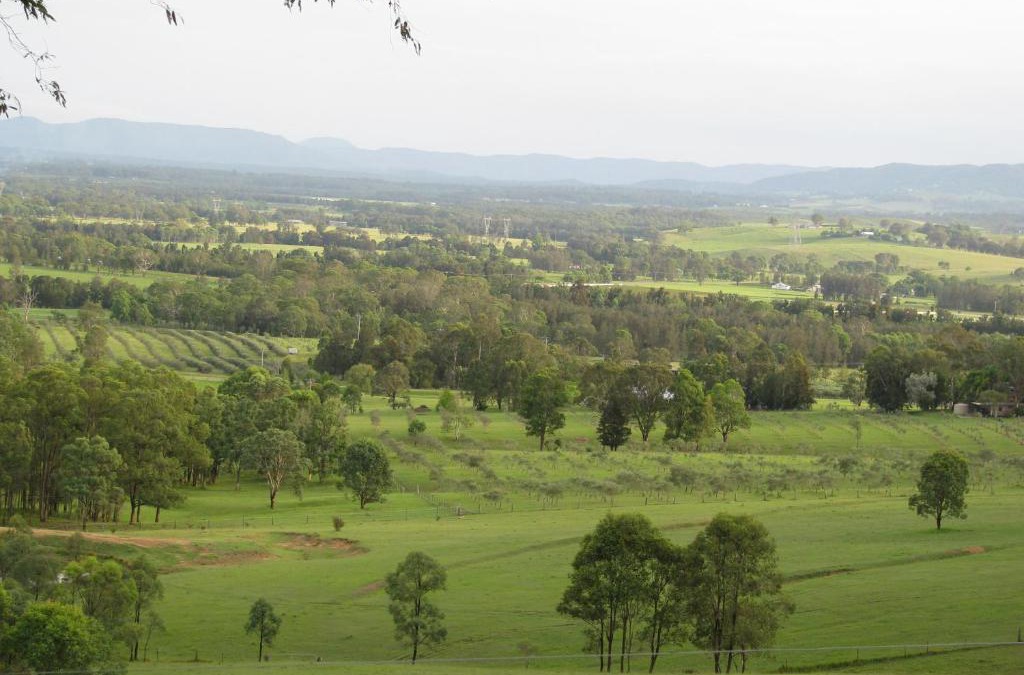 Mums Farm stay villas
