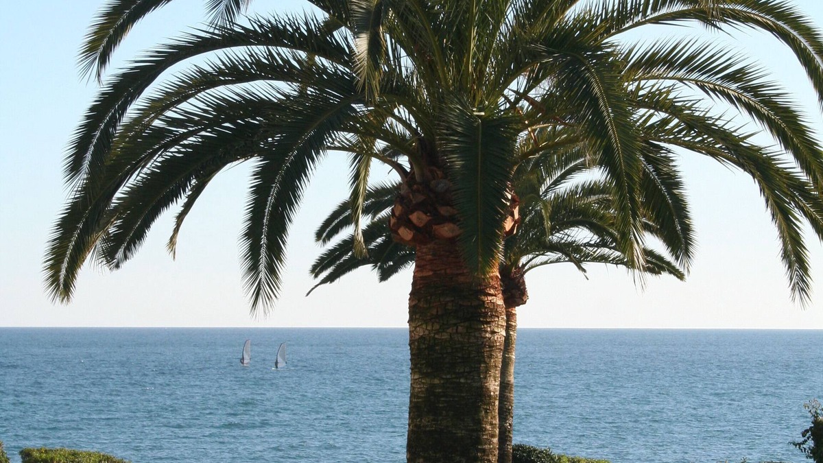 Beachfront Townhouse, great Seaview, Walking Distance Estepona Centre!