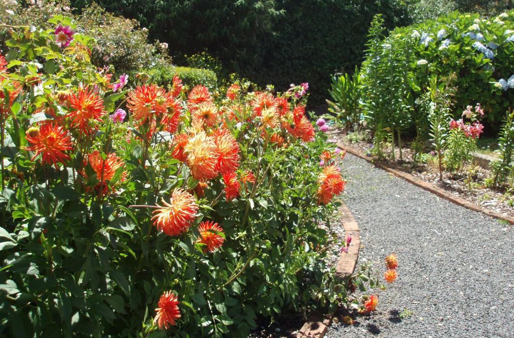 Boat Harbour Garden Cottages