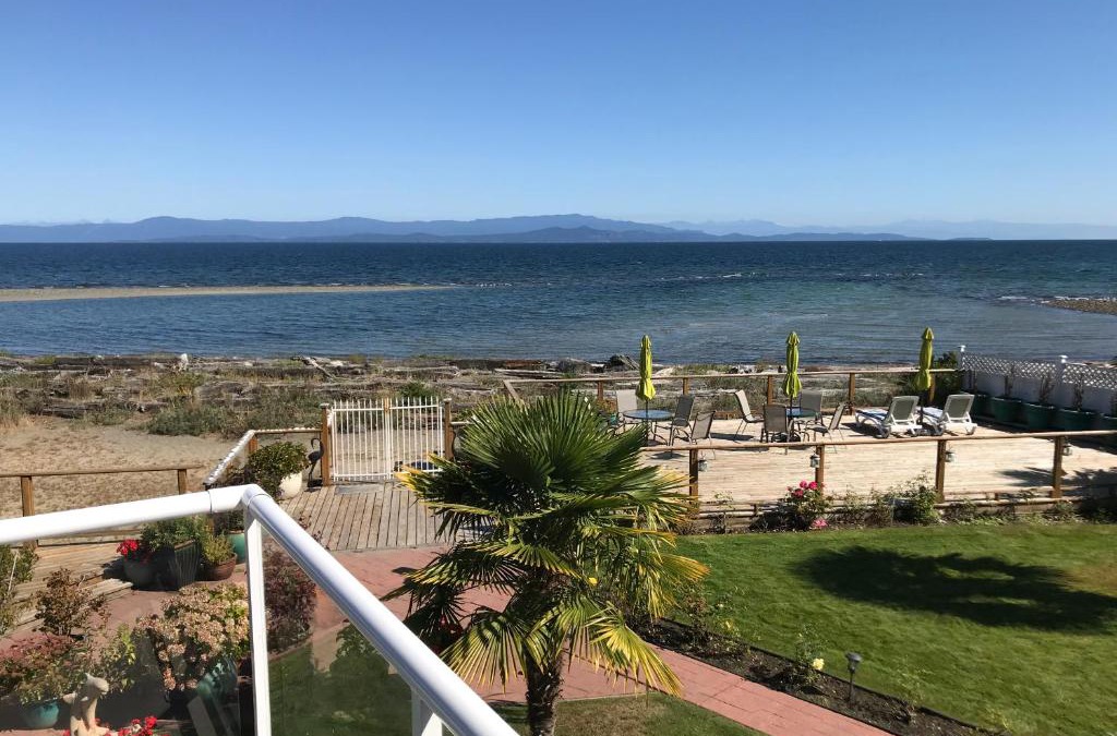 Buena Vista by the Sea