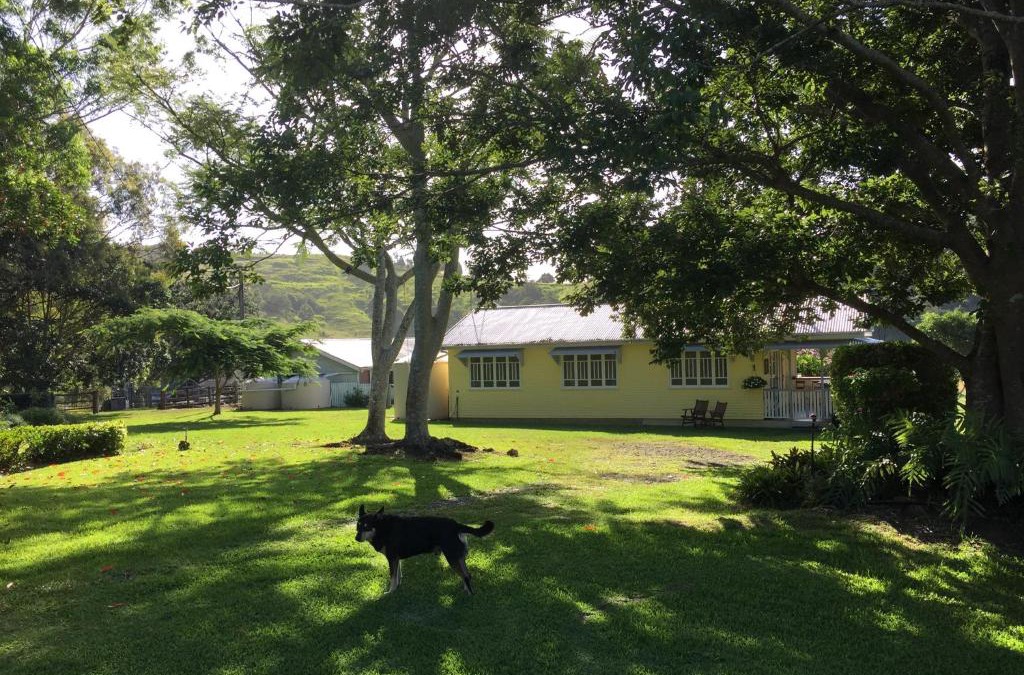 CedarBrae Country Stay