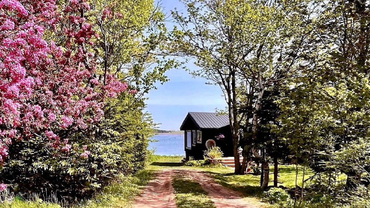 Cordial House - private Oceanside cottage, just minutes from Cavendish!