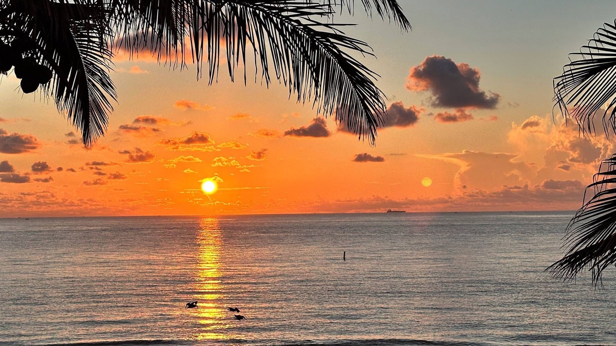 Direct Oceanfront Studio in Lauderdale by the Sea