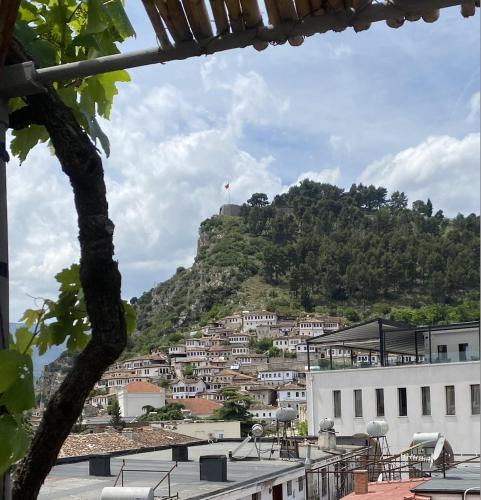 Flat in Berat's center