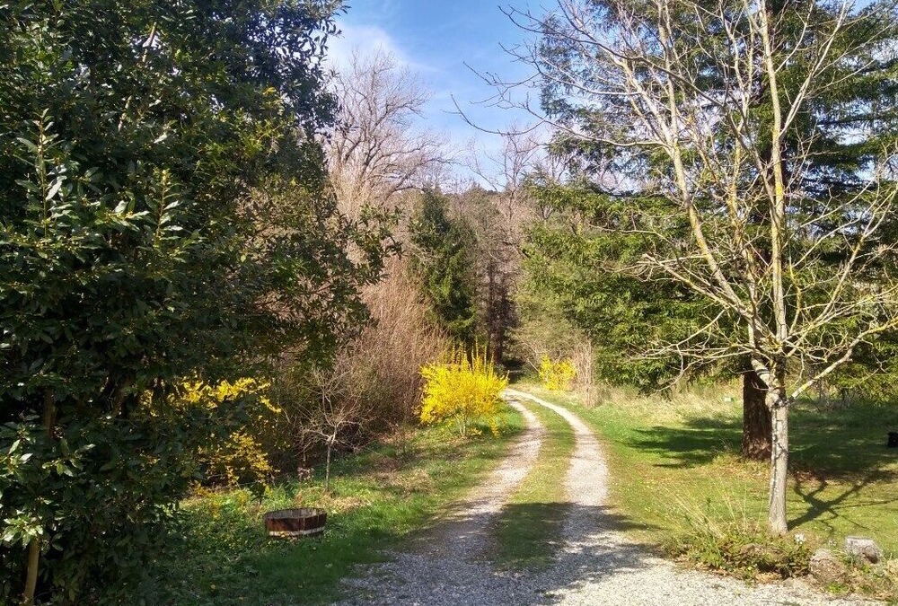 Surrounded by forests, foothills & rivers, spacious Gite in the Cathare Country