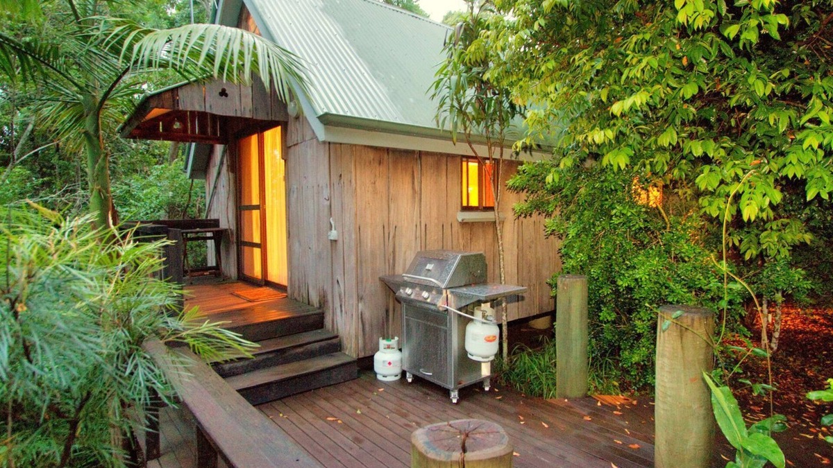 Kingfisher: Mt Glorious Getaways