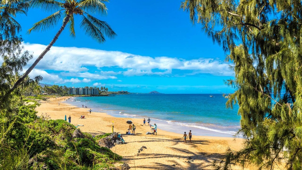 New Listing! Welcome to Hale Mahialani #3! Cozy Surf Shack in South Kihei