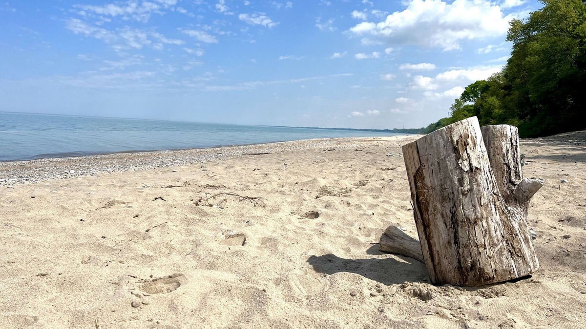 Newly-Renovated, 3-Bedroom Cottage + Bunkie, Steps to Private Beach, Grand Bend!