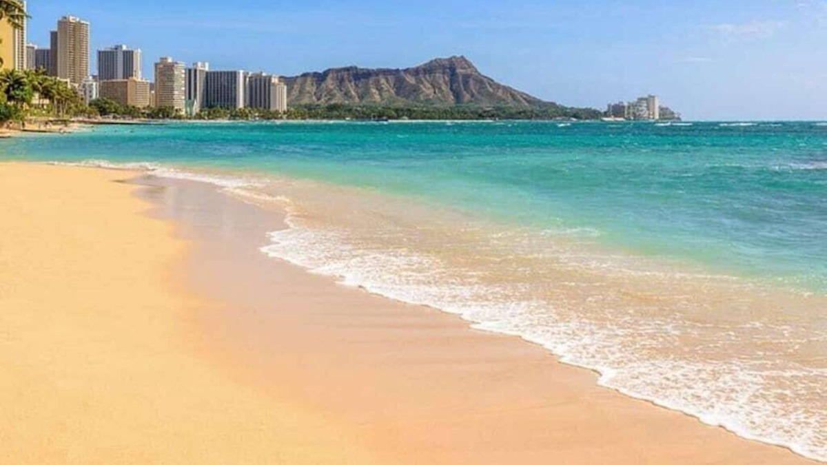 Ocean View Owners Unit in 4 Star Wyndham Resort
