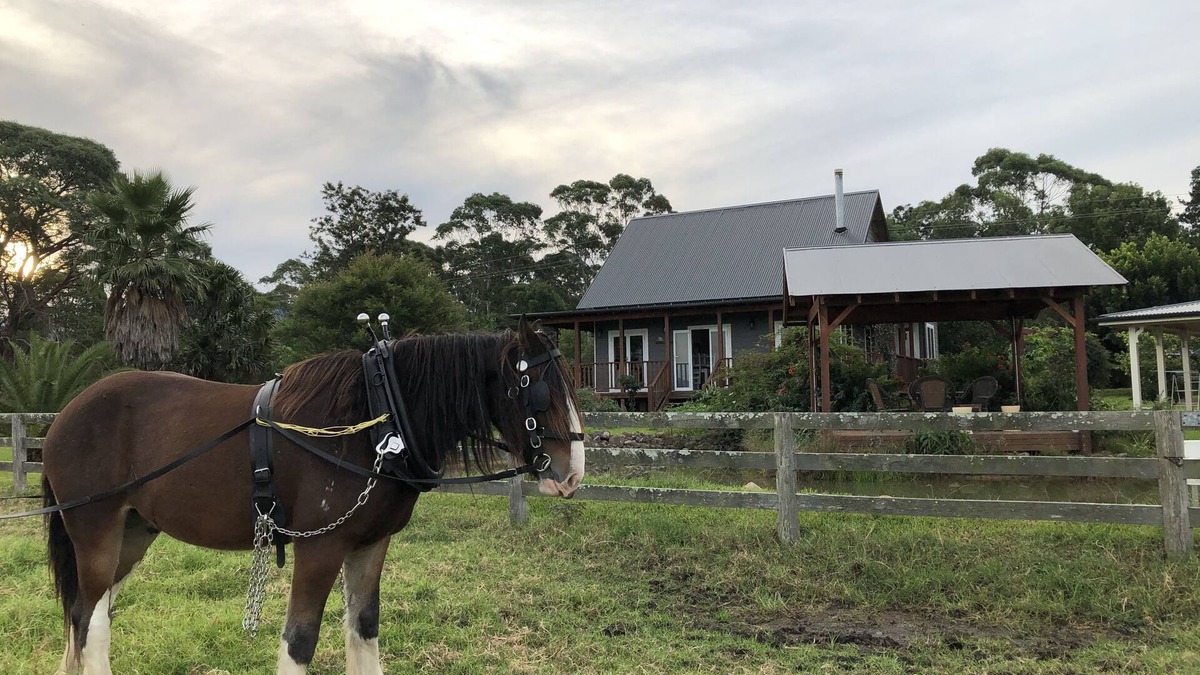 Peppergrove Cottage
