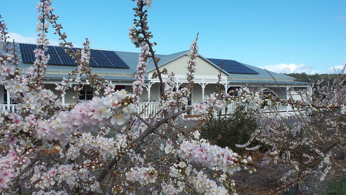 Queenslander home - with stunning views. Pet friendly!