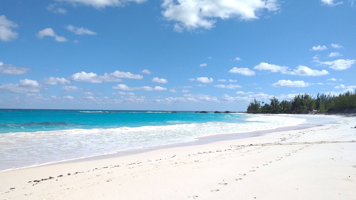 Sea Shanty - Ocean view, Private pool, Walk to Beach, Prime Central Location. 