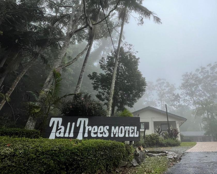 Tall Trees Motel Mountain Retreat
