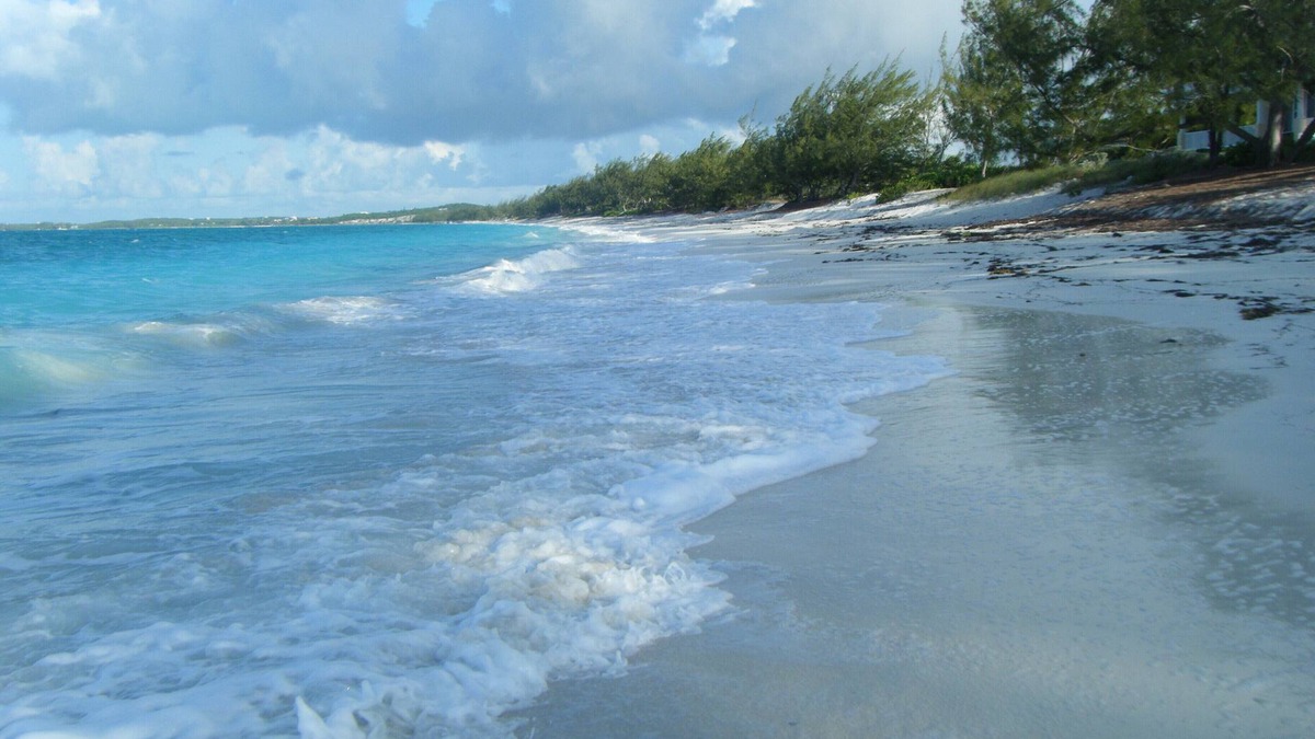 Tar Bay's Hidden Treasure! "The place to be"