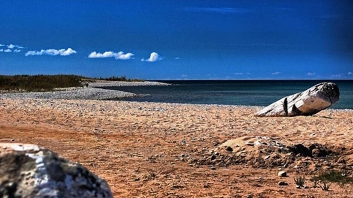 Wilderness Setting Near Beautiful Lake Michigan