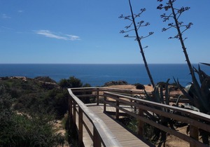 1 bedroom apartment Clube Albufeira