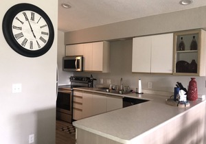 Family Condo on the Course near Branson Landing