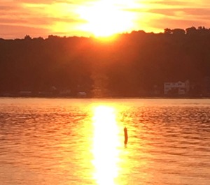 Conesus 