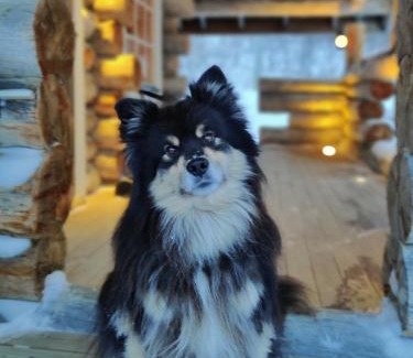 Kilpisjarvi House | Äijän mökki