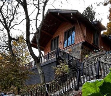 Yıldırım Ski Chalet | Çalıkuşu Dağ Evi