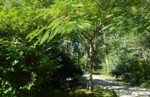 Souvigny-de-Touraine House | Évasion Romantique: Charmant Gîte 2 Pers., Parc Boisé, Activités & Confort Tout Inclus - FR-1-381-455