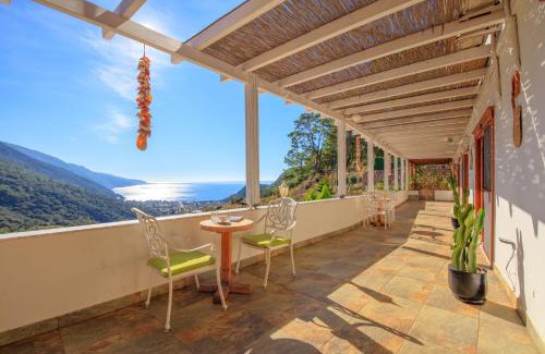 Oludeniz City Center Hotel | Ölüdeniz Manzara Non Alcoholic Family Hotel