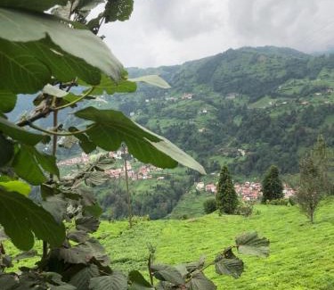 Cayirduzu Bed & Breakfast | Şeni Bungalow