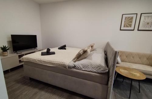 Solcany Apartment | Štúdiový apartmán pri parku