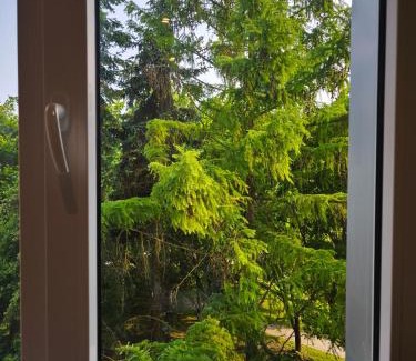 Klaipeda county Apartment | Žemaičių 8