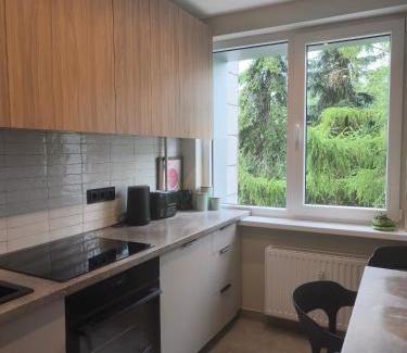 Klaipeda county Apartment | Žemaičių 8