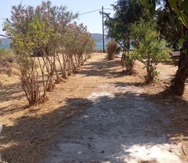 Apidias Lakkos Apartment | Μαρία