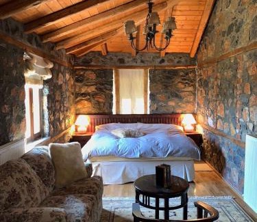 Aghios Athanasios Ski Chalet | πετρινο σαλε