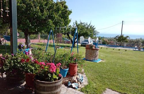 Anatolikos Olimpos Apartment | ΣΠΙΤΙ ΣΤΟΥΣ ΠΡΟΠΟΔΕΣ ΤΟΥ ΟΛΥΜΠΟΥ