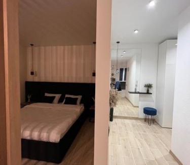 Zalissya Apartment | Апартаменти центр Чортків