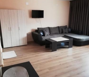 Sarnitsa House | Вили Елеганс Сърница