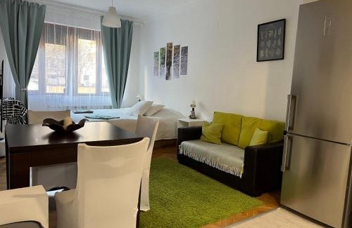 Oborishte Apartment | Върбица