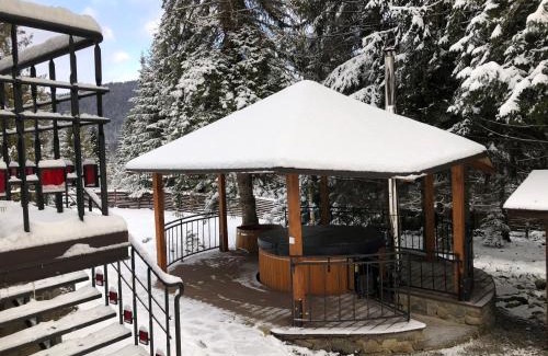 Manyava Ski Chalet | Гута Вікенд
