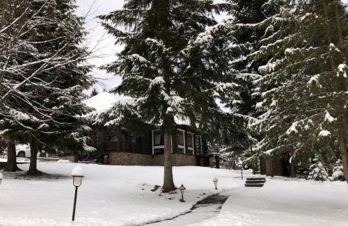 Manyava Ski Chalet | Гута Вікенд