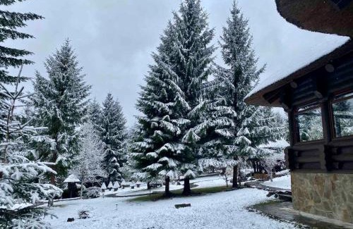 Manyava Ski Chalet | Гута Вікенд