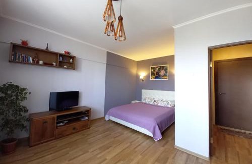 Almaty Apartment | "Картина горных вершин" Квартира- "Mountain view" Apartment