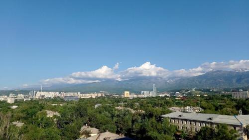 Almaty Apartment | "Картина горных вершин" Квартира- "Mountain view" Apartment
