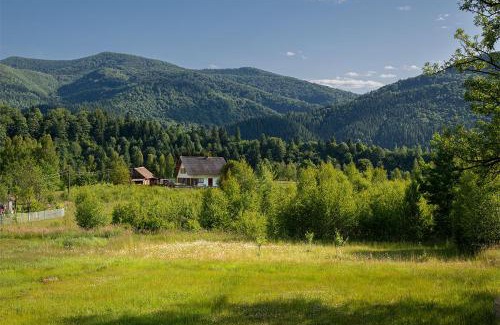 Plavya Ski Chalet | Котедж Шпаківня