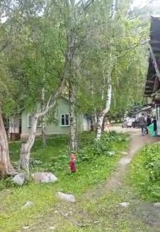 Osh Region House | Лесхоз