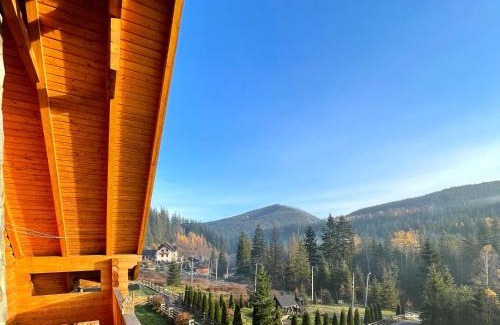 Palyanytsya House | На Полумистому
