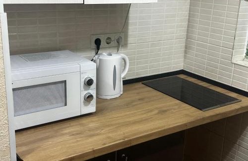 Riscani Apartment | Просторная квартира в центре
