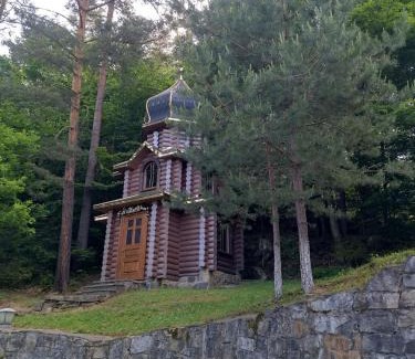 Snidavka House | Ромашка