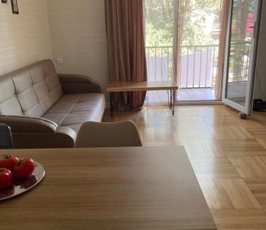 Tsqaltubo Apartment | Уютная квартира в Цхалтубо
