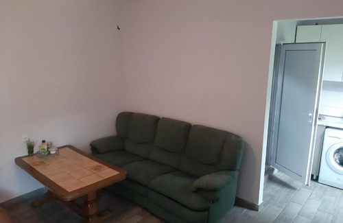 Stepantsminda Apartment | Хижина Андро