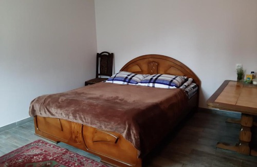 Stepantsminda Apartment | Хижина Андро