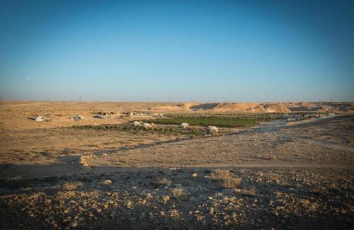 Mitzpe Ramon Other | חוות נועם במדבר - noam farm